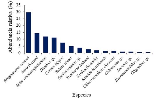 Variación de la abundancia relativa de las especies encontradas durante los meses de muestreo, en aguas superficiales de la fosa de Cariaco, estado Sucre, Venezuela