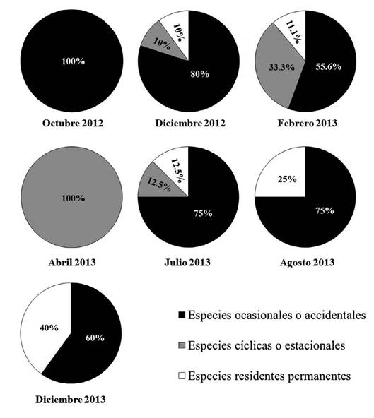 Distribución porcentual de las especies de larvas peces registradas, durante todos los meses de muestreo, en aguas superficiales de la fosa de Cariaco, estado Sucre, Venezuela