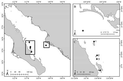 Área de estudio: A) Sitios de estudio en el sur del golfo de California, México. B) Isla Farallón de San Ignacio (Sinaloa, México). C) Arrecifes rocosos insulares cercanos a la zona de estudio y analizados durante la investigación: 1) isla Catalana, 2) isla Santa Cruz, 3) isla San Diego, 4) El Cayo