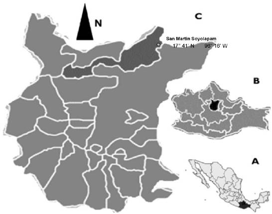 Zona de estudio. Localización del estado de Oaxaca en los Estados Unidos Mexicanos (A), Región Sierra Norte (B), Santiago Comaltepec (C).