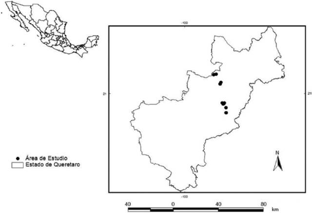 &Aacute;rea de estudio.