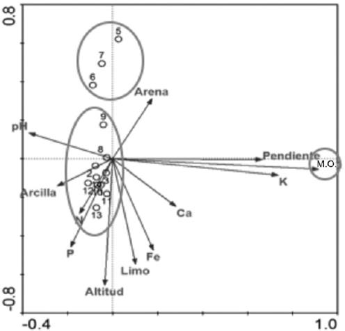 An&aacute;lisis de correspondencias can&oacute;nicas de 14 sitios de muestreo con 78 especies de plantas y 12 variables ambientales.