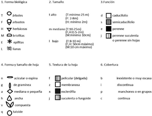 S&iacute;mbolos para la descripci&oacute;n estructural de la comunidad propuestos por Dansereau, 1957 (modificado de Valenzuela y Granados, 2009).