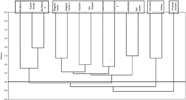 Semejanza flor&iacute;stica de los 14 sitios determinada con el uso del coeficiente de Bray-Curtis.