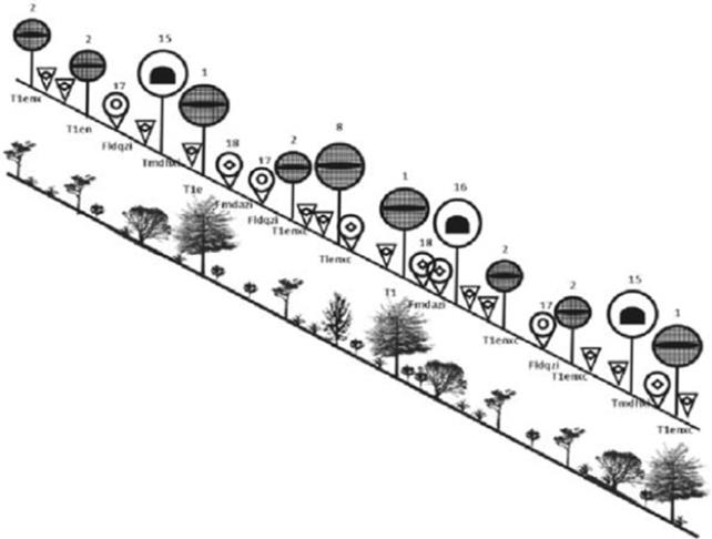 Danserograma y perfil fison&oacute;mico semirrealista de la vegetaci&oacute;n en el sitio de Pinal de Amoles. 1. Pinus cembroides Zucc., 2. Juniperus flaccida Schltdl, 8. Pinus pinceana Gordon, 15. Quercus germana Schltdl. & Cham., 16. Quercus mexicana Bonpl., 17. Senecio sp., 18. Baccharis conferta Kunth.