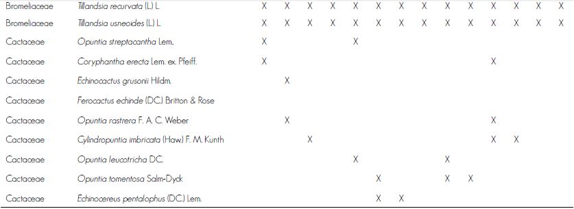 Composici&oacute;n flor&iacute;stica de los bosques de pino pi&ntilde;onero del estado de Quer&eacute;taro.