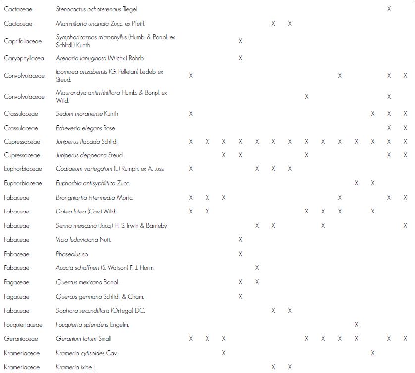 Composici&oacute;n flor&iacute;stica de los bosques de pino pi&ntilde;onero del estado de Quer&eacute;taro.
