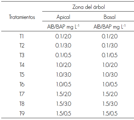 Tratamientos para la inducción de organogénesis directa in vitro en explantes de Quillaja saponaria Molina extraídos de diferentes zonas del árbol.
