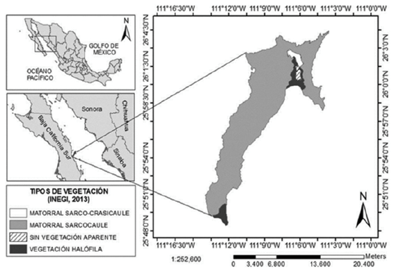 Localizaci&oacute;n del &aacute;rea de estudio en la isla El Carmen, Baja California Sur.