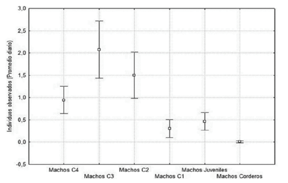 Estructura poblacional de los borregos cimarrones machos (Ovis canadensis weemsi Goldman, 1937) en sus distintas clases de edad, en la isla El Carmen, Baja California Sur, M&eacute;xico.