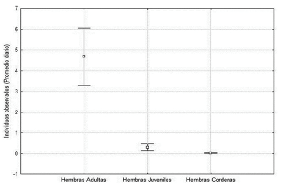 Estructura poblacional de los borregos cimarrones (Ovis canadensis weemsi Goldman, 1937) corderos hembras en sus distintas clases de edad, en la isla El Carmen, Baja California Sur, M&eacute;xico.
