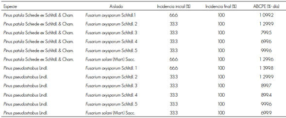 &Aacute;rea bajo la curva del progreso de la enfermedad (ABCPE) en pl&aacute;ntulas de Pinus patula Schiede ex Schltdl. & Cham. y Pinus pseudostrobus Lindl. inoculadas con cinco aislados de Fusarium oxysporum Schltdl., y un aislado de Fusarium solani (Mart.) Sacc.