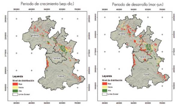 Distribución potencial actual de Lophodermium spp. en su etapa de crecimiento y desarrollo en el área de estudio.