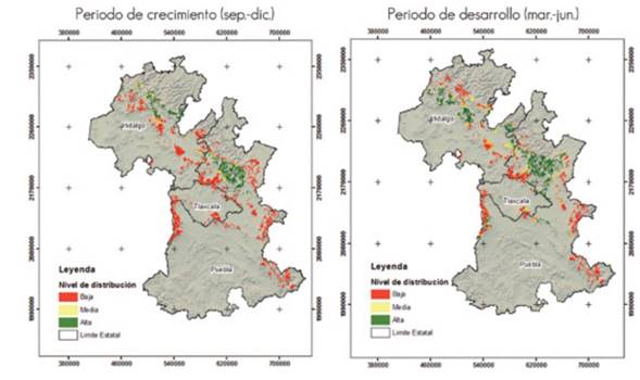 Distribución potencial de Lophodermium spp. en sus etapas de crecimiento y desarrollo para el año 2039 con escenario RCP4.5, en el área de estudio.