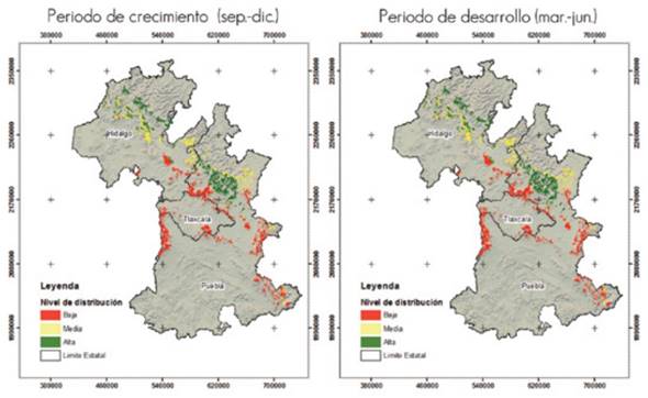 Distribución potencial de Lophodermium spp. en sus etapas de crecimiento y desarrollo para el año 2039 con escenario RCP8.5, en el área de estudio.
