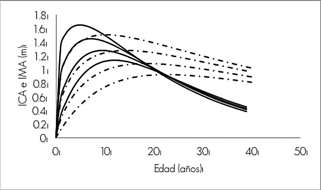 Familia de curvas de incremento corriente anual (ICA) (línea continua), e incremento medio anual (IMA) (línea discontinua), con categorías de índice de sitio 13, 16, 19 y 22 m.