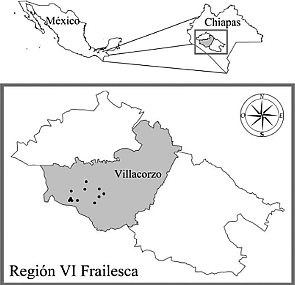 Localización de los ejidos donde se seleccionaron las parcelas para la investigación en la región Frailesca, Chiapas, México. Elaborado por Red AC.
