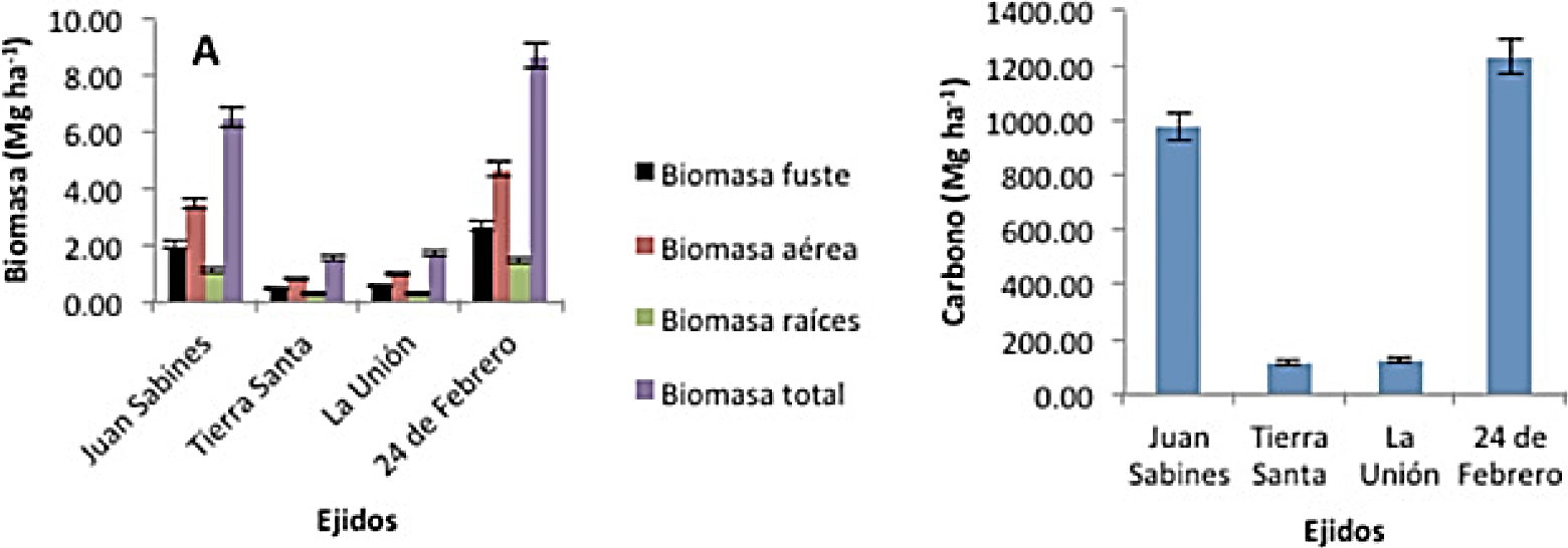Acumulación de biomasa (A) y carbono (B) en bosques de Pinus maximinoii H. E. Moore de las comunidades Juan Sabines, Tierra Santa, La Unión y 24 de Febrero de la región Frailesca de Chiapas.