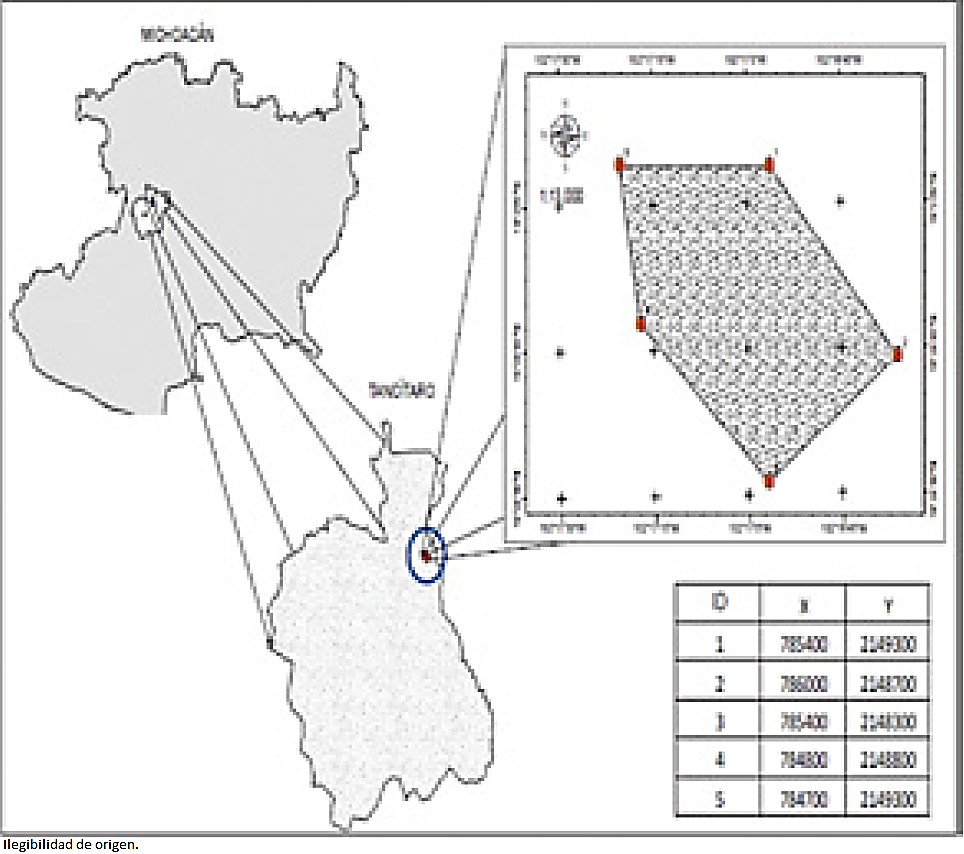 Ubicación del área de estudio en la zona de Protección de Flora y Fauna Pico de Tancítaro, Michoacán.