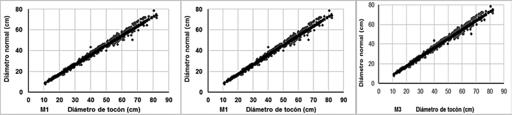 Estimaciones del dn a partir del dt con los modelos M1, M2 y M3 mejor ajustados para Abies religiosa (Kunth) Schltdl. et Cham. en Tancítaro, Michoacán.