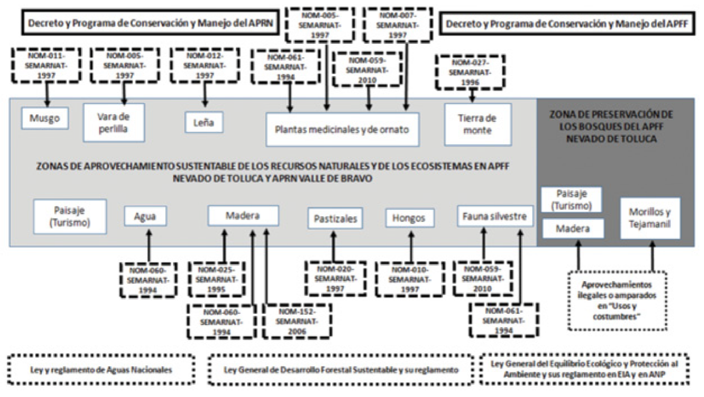 Marco normativo federal ambiental y forestal del SRFUC de San Francisco Oxtotilpan.