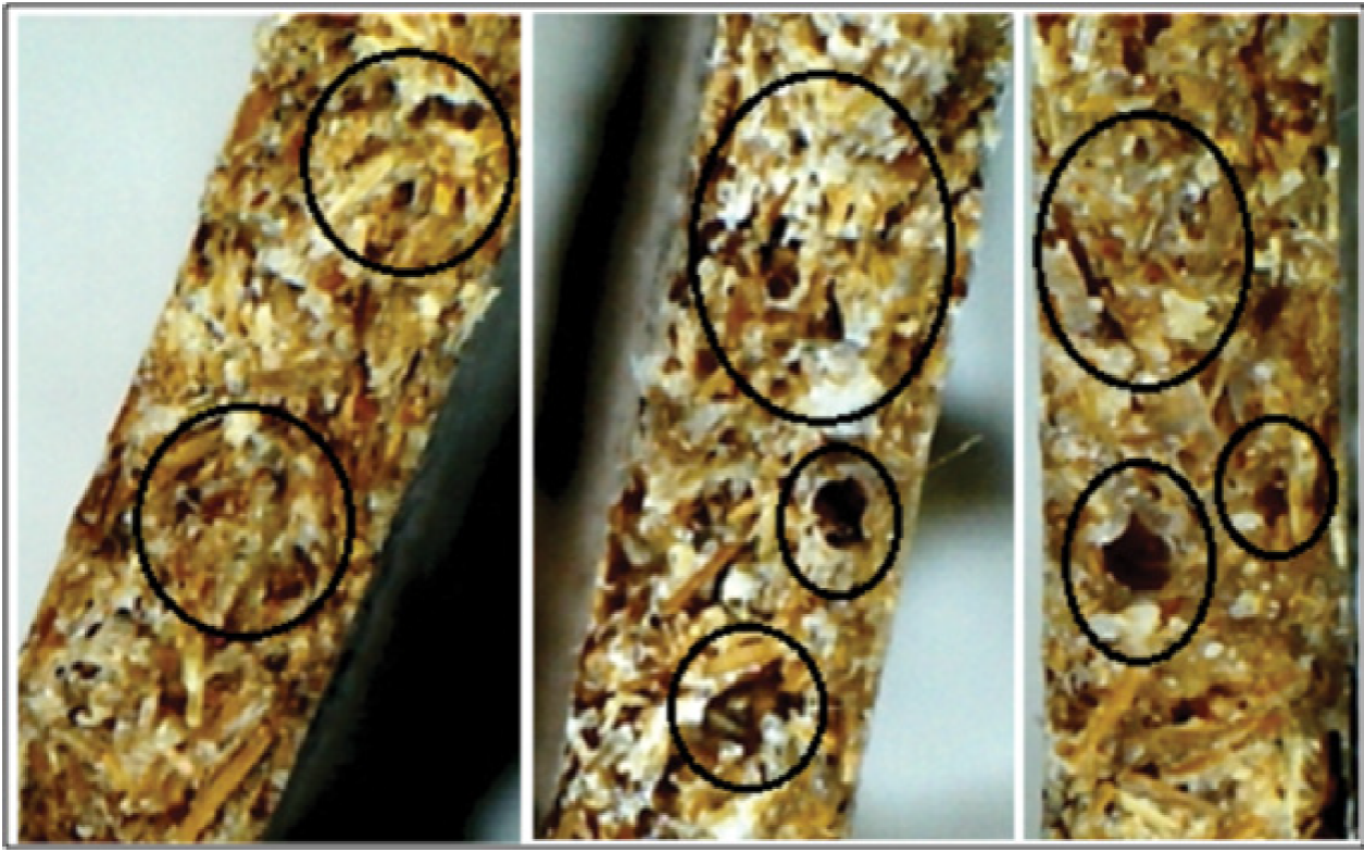 Imágenes de espacios vacíos (dentro de los círculos) en la sección transversal de materiales compuestos bambú/plástico obtenidos con tamaño de malla -60/+80 y proporciones 50/50, 40/60 y 30/70, respectivamente.