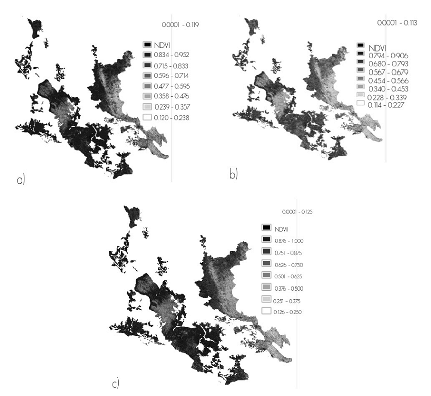 Distribuci&oacute;n de los valores del NDVI