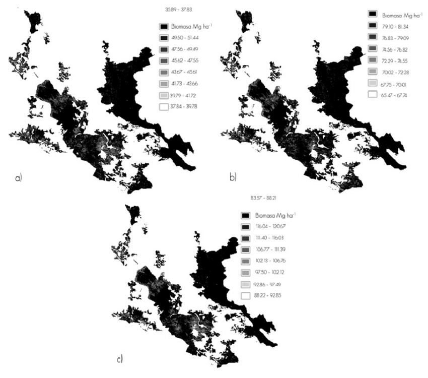 Im&aacute;genes de distribuci&oacute;n espacial de biomasa