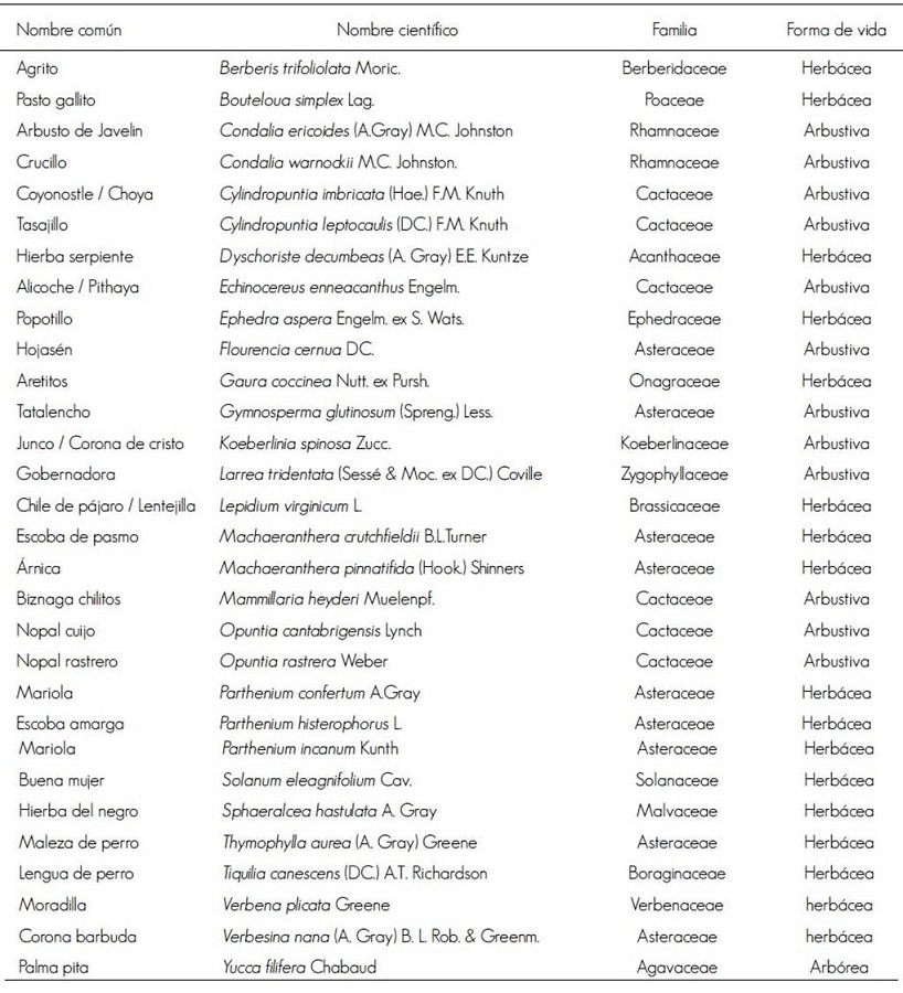 Lista de especies identificadas en el matorral des&eacute;rtico micr&oacute;filo.