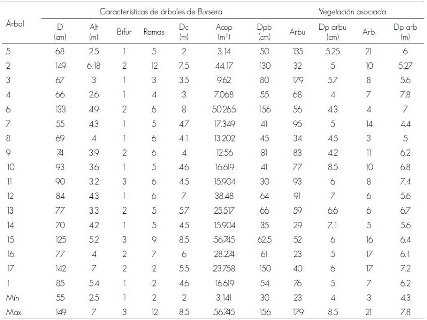 Caracter&iacute;sticas de los &aacute;rboles de Bursera heliae Rzed. & Calder&oacute;n y de la vegetaci&oacute;n asociada