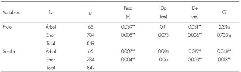 Resumen de an&aacute;lisis de varianza de varias caracter&iacute;sticas de frutos y semillas de Bursera heliae Rzed. & Calder&oacute;n considerando como variable independiente el &aacute;rbol del que se recolectaron los frutos.