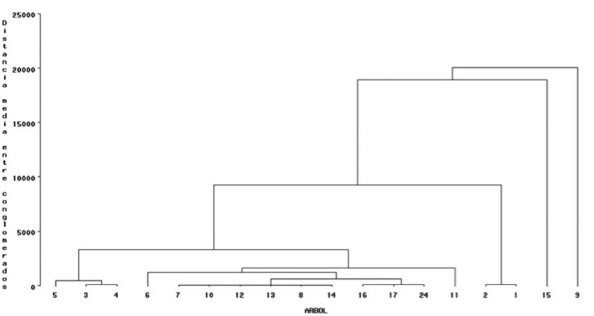 Dendrograma de 17 recolectas de fruto de Bursera heliae Rzed. & Calder&oacute;n; an&aacute;lisis de agrupamiento de m&iacute;nima varianza de Ward, basado en 24 caracter&iacute;sticas dason&oacute;micas, de sitio y morfol&oacute;gicas.