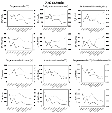 Registros de las abundancias de los escarabajos descortezadores Dendroctonus frontalis Zimmerman, 1868 y Dendroctonus mexicanus Hopkins, 1909 en Pinal de Amoles (a lo largo de un año) y los seis parámetros climáticos de interés.