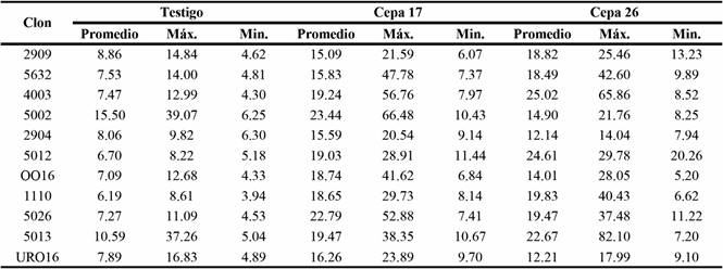 Longitud (mm) herida en 53 días de inoculación con Chrysoporthe cubensis Brunes Gryzenhout & M. J. Wingf.
