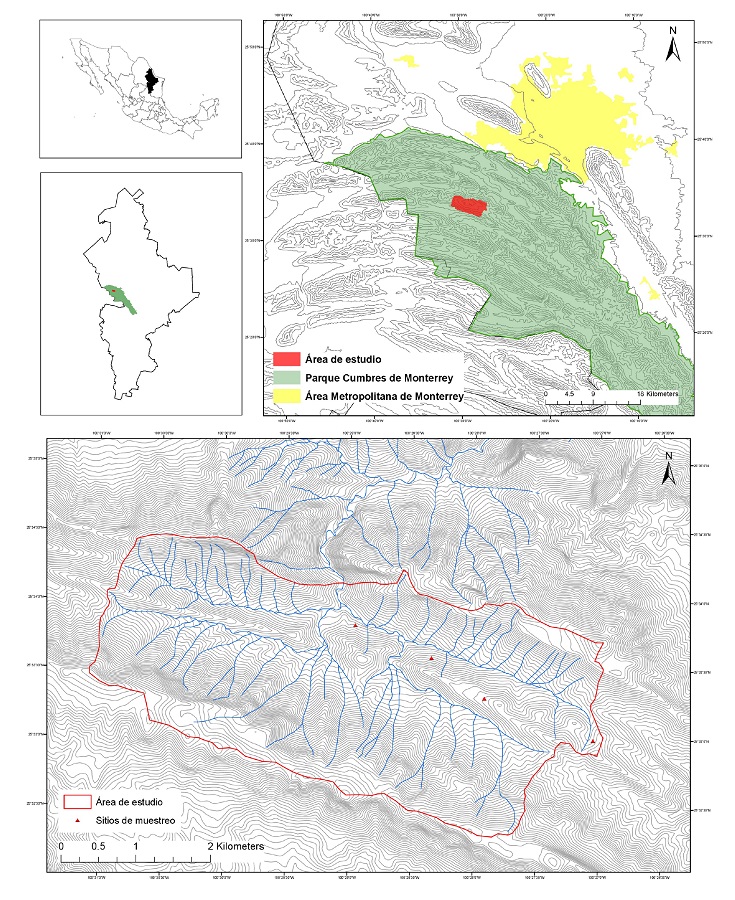 &Aacute;rea de estudio y sitios de muestreo 1, 2, 3 y 4 de izquierda a derecha.