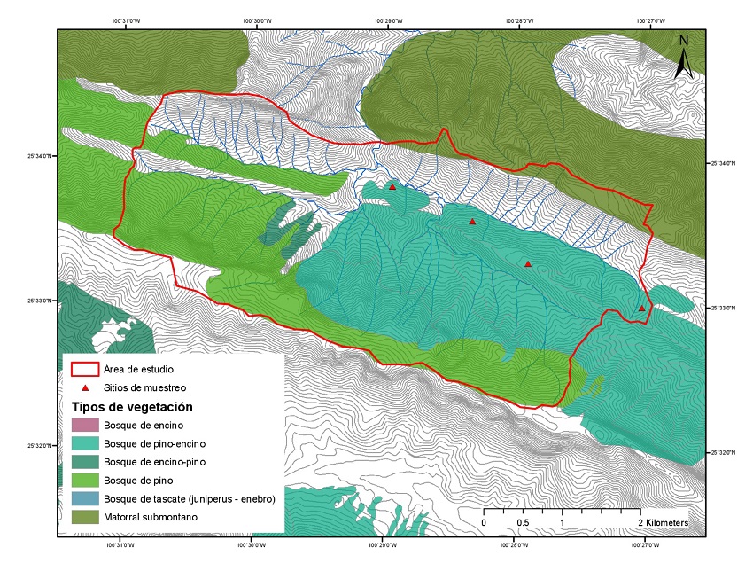 Tipos de vegetaci&oacute;n en el &aacute;rea de estudio y sitios de muestreo.