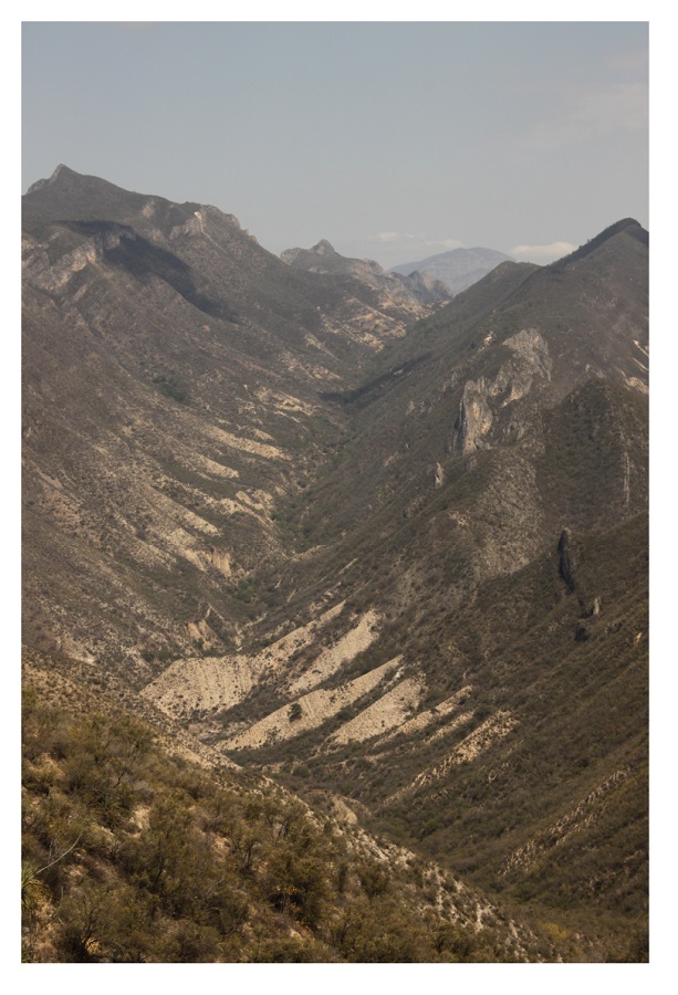 Panor&aacute;mica de &aacute;reas con p&eacute;rdida de cobertura vegetal.