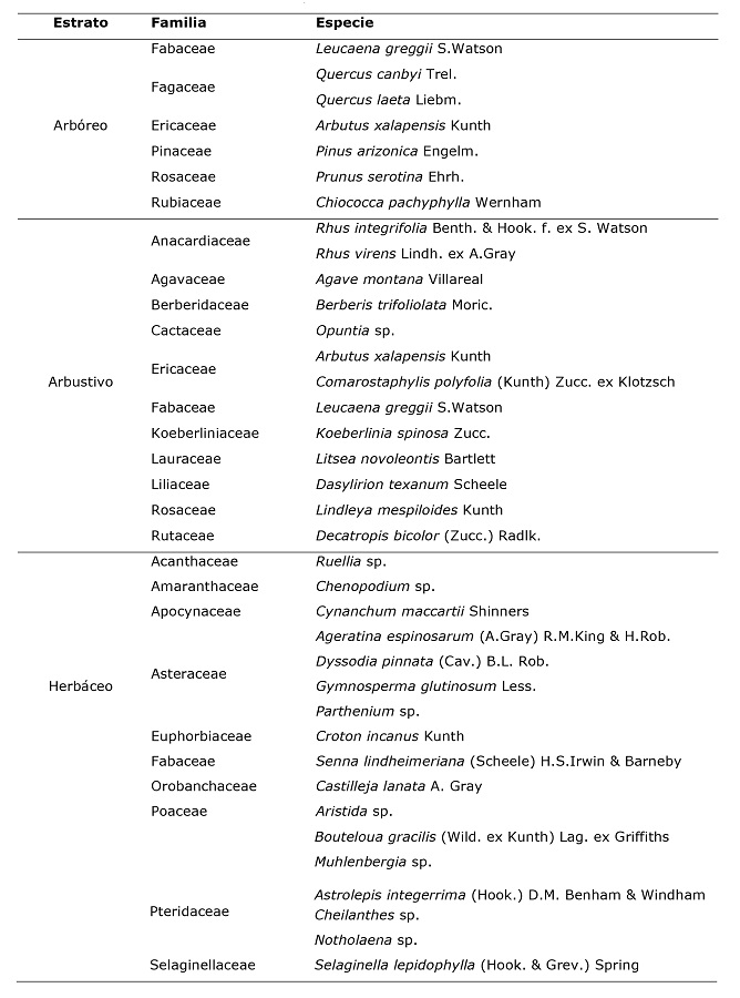 Listado de especies por estrato de crecimiento en el &aacute;rea de estudio.