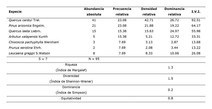 Valores de importancia y de diversidad para las especies del estrato arb&oacute;reo en el &aacute;rea de estudio.