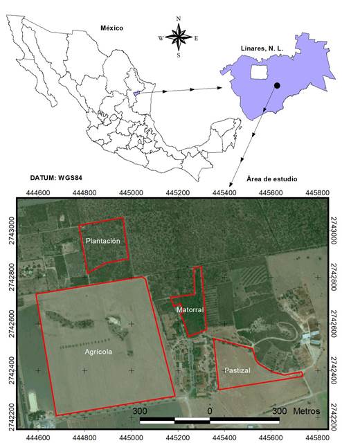Localización del área de estudio.