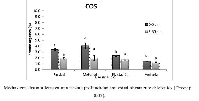 Valores medios del contenido de carbono orgánico del suelo (%) en las profundidades 0-5 y 5-30 cm para los cuatro usos de suelo.