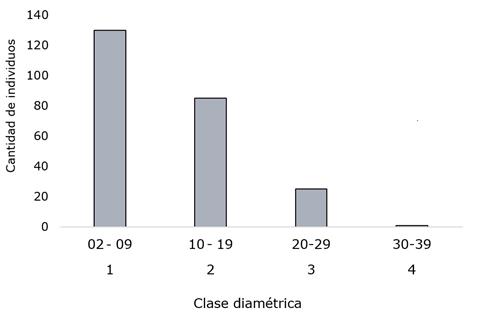 Distribuci&oacute;n diam&eacute;trica de todos los algarrobos medidos. Chaco Central (diciembre 2015).
