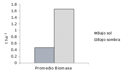 Biomasa de pastura en promedio bajo dos condiciones de insolaci&oacute;n. Chaco Central (diciembre 2015).