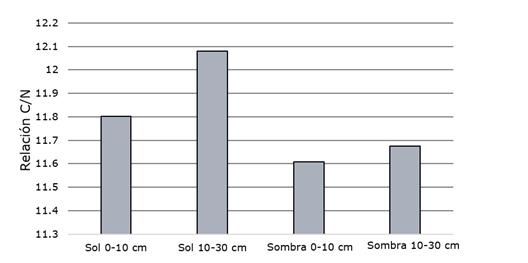Relaci&oacute;n C/N en las parcelas a dos profundidades y bajo dos condiciones de insolaci&oacute;n. Chaco Central (2015).