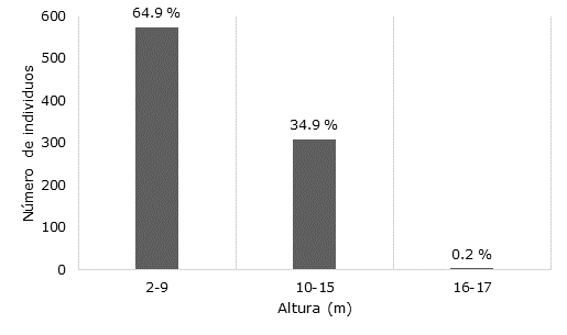 Estratificaci&oacute;n vertical del componente arb&oacute;reo en el ejido El Lim&oacute;n, Morelos.