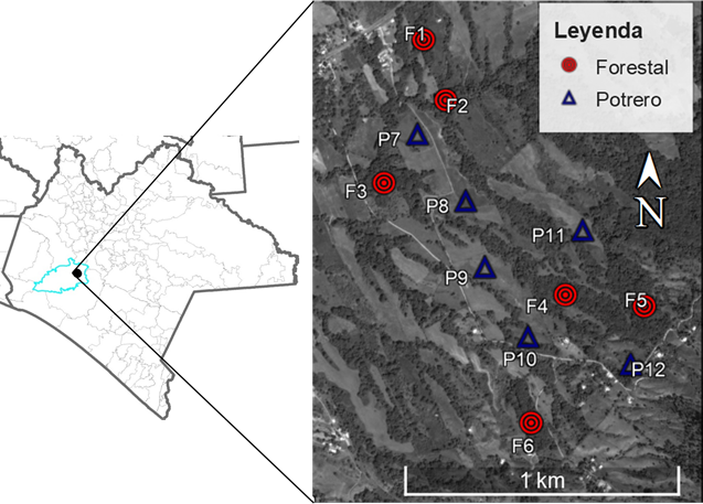 Localizaci&oacute;n de los puntos de muestreo dentro del municipio Villaflores, Chiapas, M&eacute;xico.