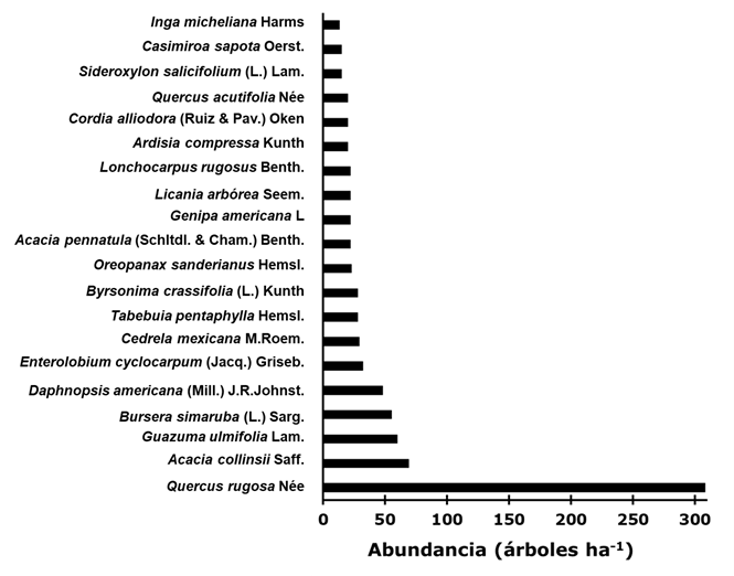 Abundancia de las principales especies forestales identificadas.