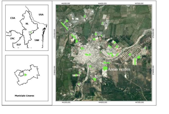 Ubicaci&oacute;n del &aacute;rea de estudio.