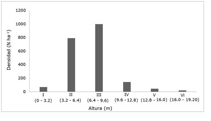 Densidad de individuos por altura en el &aacute;rea de estudio.