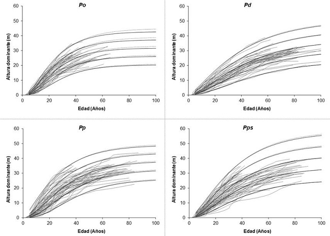 Curvas de índice de sitio a la edad de referencia de 40 años para Pinus oaxacana Mirov (Po), P. douglasiana Martínez (Pd), P. patula Schiede ex Schltdl. & Cham. (Pp) y P. pseudostrobus Lindl. (Pps).